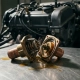 Disassembled car thermostat valve with brass and copper housing, coolant residue visible, blurred engine block in background.